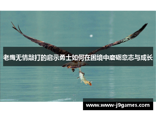 老鹰无情敲打的启示勇士如何在困境中磨砺意志与成长